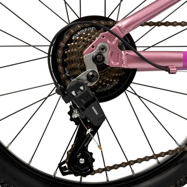 Literide Kinderfahrrad - Mädchen - 20 Zoll - Lila/Rosa - Zwei Handbremsen