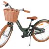 Volare Ashley Kinderfahrrad – Mädchen – 20 Zoll – Grün