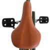 Volare Ashley Kinderfahrrad – Mädchen – 24 Zoll – Grün