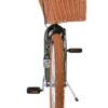 Volare Ashley Kinderfahrrad – Mädchen – 24 Zoll – Grün