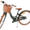 Volare Ashley Kinderfahrrad - Mädchen - 24 Zoll - Grün - Nexus 3
