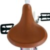 Volare Blossom Kinderfahrrad - Mädchen - 20 Zoll - Weiß - Zwei Handbremsen 4