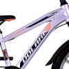 Volare Cross Kinderfahrrad – Jungen – 20 Zoll – Silber – 6 Gänge 7
