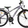 Volare Cross Kinderfahrrad - Jungen - 24 Zoll - Grau - 21 Gänge - Zwei Handbremsen 2
