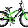 Volare Sportivo Kinderfahrrad – Jungen – 20 Zoll – Grün – Zwei Handbremsen