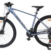 Volare X-Trail MTB – Jungen – 29 Zoll – L – Grau – 21 Gänge