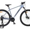 Volare X-Trail MTB – Jungen – 29 Zoll – L – Grau – 21 Gänge