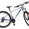 Volare X-Trail MTB – Jungen – 29 Zoll – M – Grau – 21 Gänge
