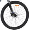 Volare X-Trail MTB – Jungen – 29 Zoll – M – Grau – 21 Gänge