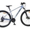 Volare X-Trail MTB – Jungen – 29 Zoll – M – Grau – 21 Gänge