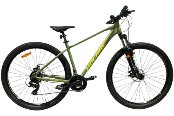 Volare X-Trail MTB – Jungen – 29 Zoll – M – Grün – 21 Gänge